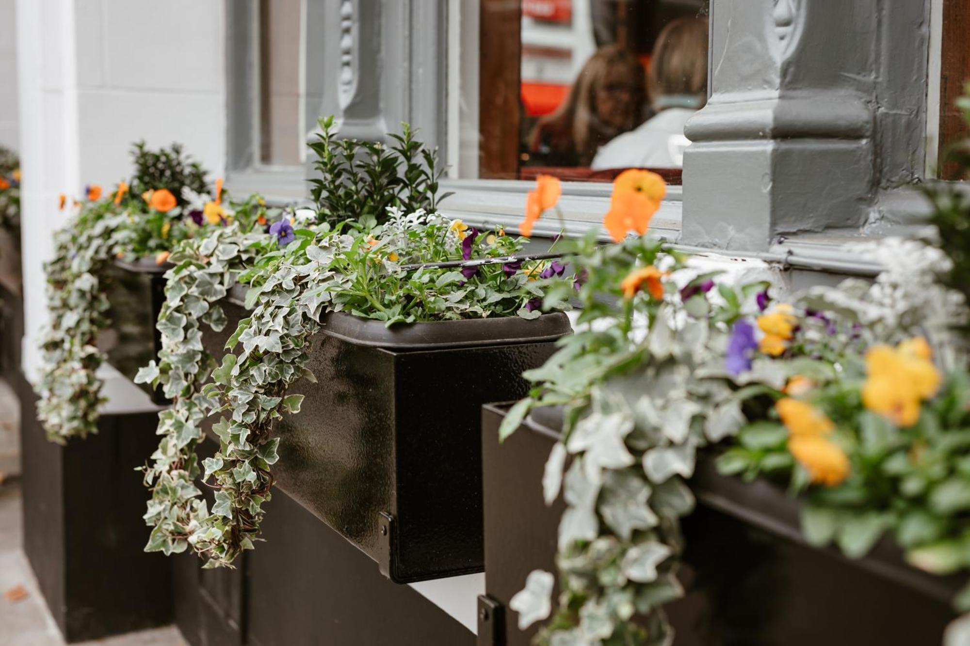 Hand & Flower Londres Exterior foto